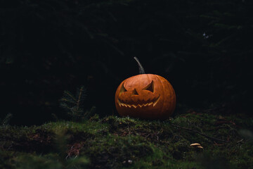 Halloween im Wald