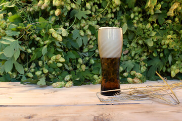 Beer in a glass, spikelets of barley and hops