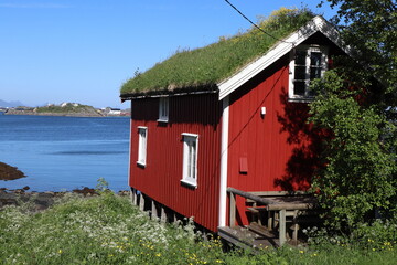 Reine / Norway - June 15 2019: Red cabins, called Robu / Rorbuer in norway with grass roofs