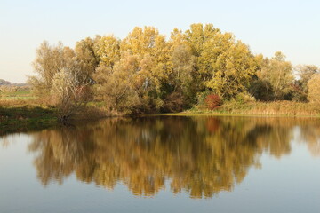 Złota polska jasień