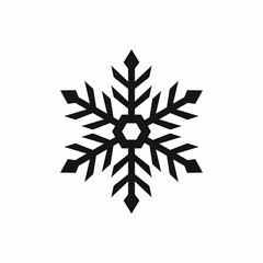Snowflake icon vector
