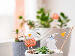 Hand drawn Halloween 2020 decorations in flower pots with crassula succulent plants. Ghost in...