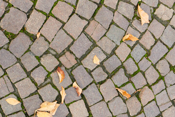 pavement