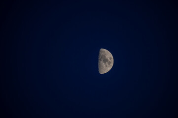 The Moon in waxing gibbous