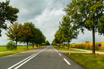 Fototapeta na wymiar A typical Dutch autumn landscape with rural road along the corn fields and trees in the Netherlands