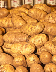 top, front view, close distance of a pile of russet potatoes, on display and for sale at a tropical food market