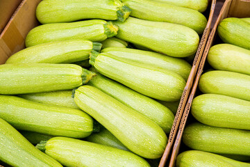 Fresh green zucchini are laid out in a row on the counter of the vegetable market.