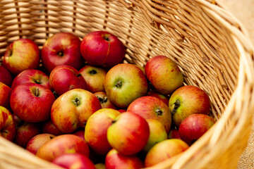 Apple Basket