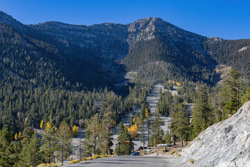 Sunny view of the fall color of Lee Canyon