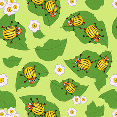 potato beetle on blooming potato leaves. seamless vector pattern