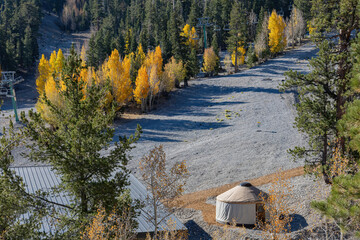 Sunny view of the fall color of Lee Canyon