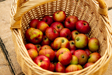 Rote Äpfel im Korb