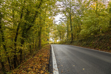 Strada in autunno