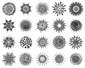 Coronavirus pathogen organism cells and infectious agents or contagious germs bacteria. 2019-nCoV, Covid-2019, Covid-19 Viral Novel Corona virus with DNA or RNA, artist interpretation drawing. Vector.