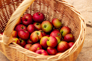 Apfel Korb