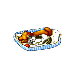 Hund Hündchen Baby Tiere Haustier Katze Kätzchen Tierbaby liegen in Hundekörbchen auf Decke und schlafen aneinander gekuschelt kuscheln ausruhen niedlich Tierpension Spielzeug Ball Hintergrund weiß