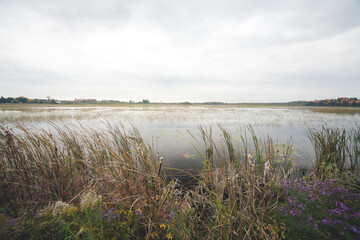 Beautiful Scenic Nature Landscape Background in the Backcountry during cloudy weather in Autumn 