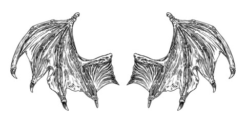 Hand drawn vintage etched woodcut fallen angel or vampire detailed wings. Dragon or gargoyle wings. Heraldic wings for tattoo and mascot design. Isolated sketch collection. Vector.