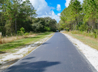 Fototapeta na wymiar A biking trail in a sunny day in Florida. Taken in Flatwood park in Tampa. Florida 