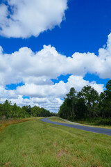 Fototapeta na wymiar A biking trail in a sunny day in Florida. Taken in Flatwood park in Tampa. Florida