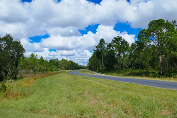 A biking  trail in a sunny day in Florida. Taken in Flatwood park in Tampa. Florida