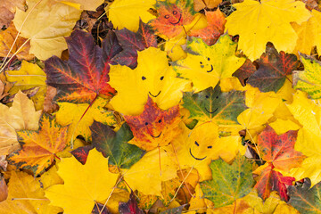 Naklejka na ściany i meble Autumn bright sunny background with colorful maple leaves and happy drawn smiles on them. 