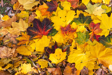 Fall bright sunny background with colorful maple leaves and happy drawn smiles on them.  Natural emotions