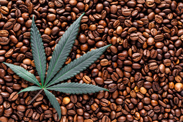 Cannabis leaf on Coffee beans background.Coffee beans with marijuana leaves background top view.Fresh roasted coffee bean