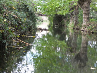 marais poitevin