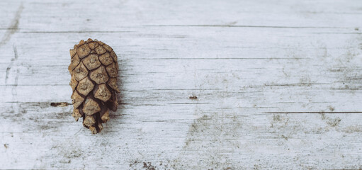 High angle view close up of pine cone on a wooden table