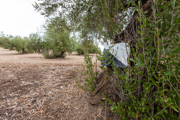 Private Stump of Hunting Area