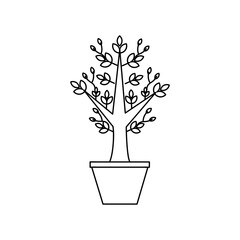 Line art growth tree design isolated on white background