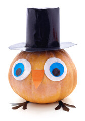 Pumpkin for Halloween.