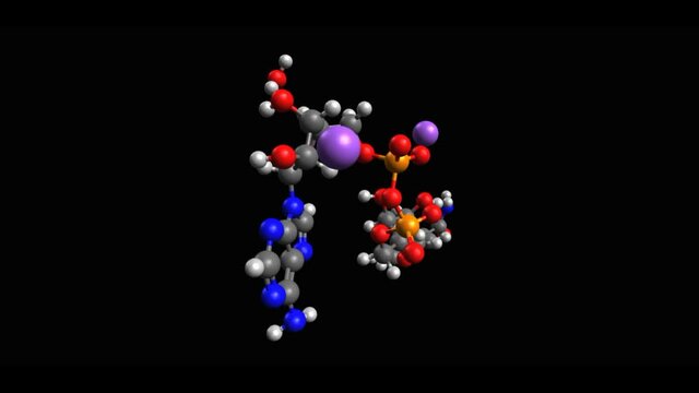 Animated skeletal 3D model of nicotinamide adenine dinucleotide (NADH) reduced form, black background