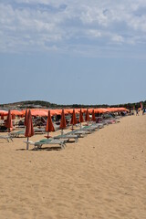 Beach by Summer With Umbrellas