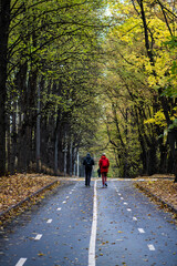 Fototapeta premium People walking on the road in fall park