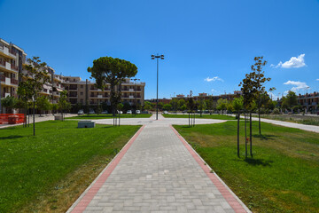 Fototapeta premium Park by Morning With Pth, Trees and Beautiful Grass by Summer