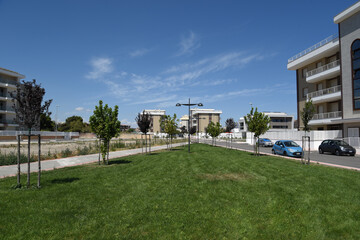 Fototapeta premium Park by Morning With Path and Trees Near the Houses