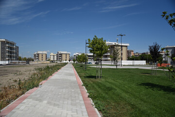Park by Morning With Pth, Trees and Beautiful Grass by Summer