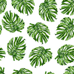 Seamless pattern with green monstera leaves isolated on a white background. Endless tropical exotic illustration.