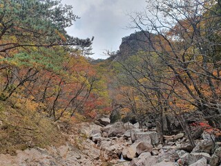 autumn in the mountains