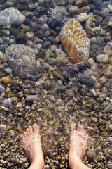 view of a man feet into the pebbles on the beach with water flowing. space for copying text