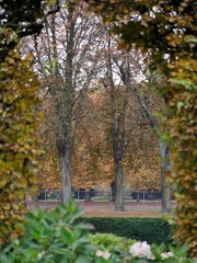 Herbstlaub im Hamburger Statdpark