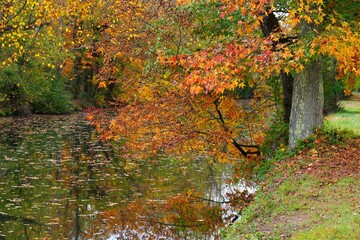 View of fall leaves reflecting in the water of the Delaware-Raritan canal in Princeton, New Jersey
