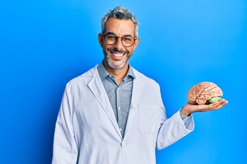 Middle age grey-haired man wearing doctor coat holding brain looking positive and happy standing...