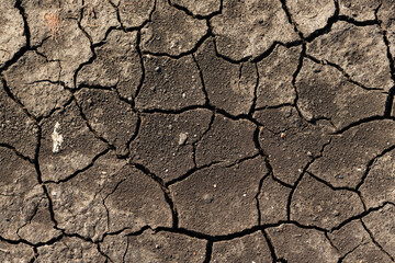 Texture of cracked dried soil. Dry ground with cracks. Brown rough surface of the soil during summer drought. Perfect for background and design. Ecology, climate change and global warming on Earth.