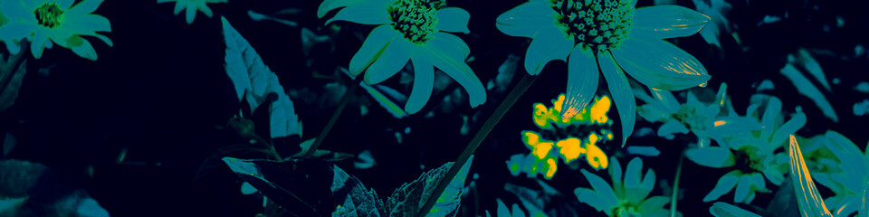 Dark Flower Template. Blue Flora Decoration.