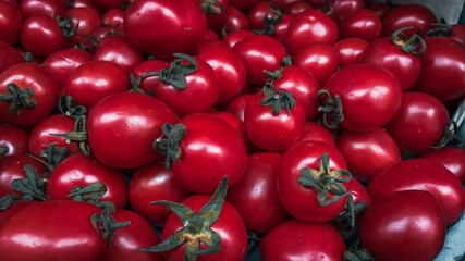 red tomatoes background