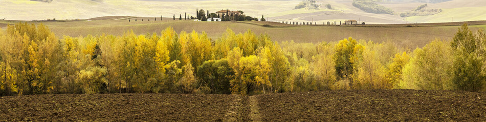 Campagna e alberi in autunno