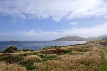 Rough and windy grass landscape on island with cruise ship, Falkland Islands